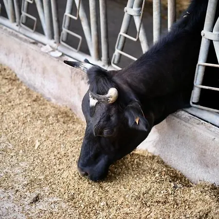 D'hotes Au Coeur De La Ferme De La Porte En Aix Pour 2 Aix-en-Issart